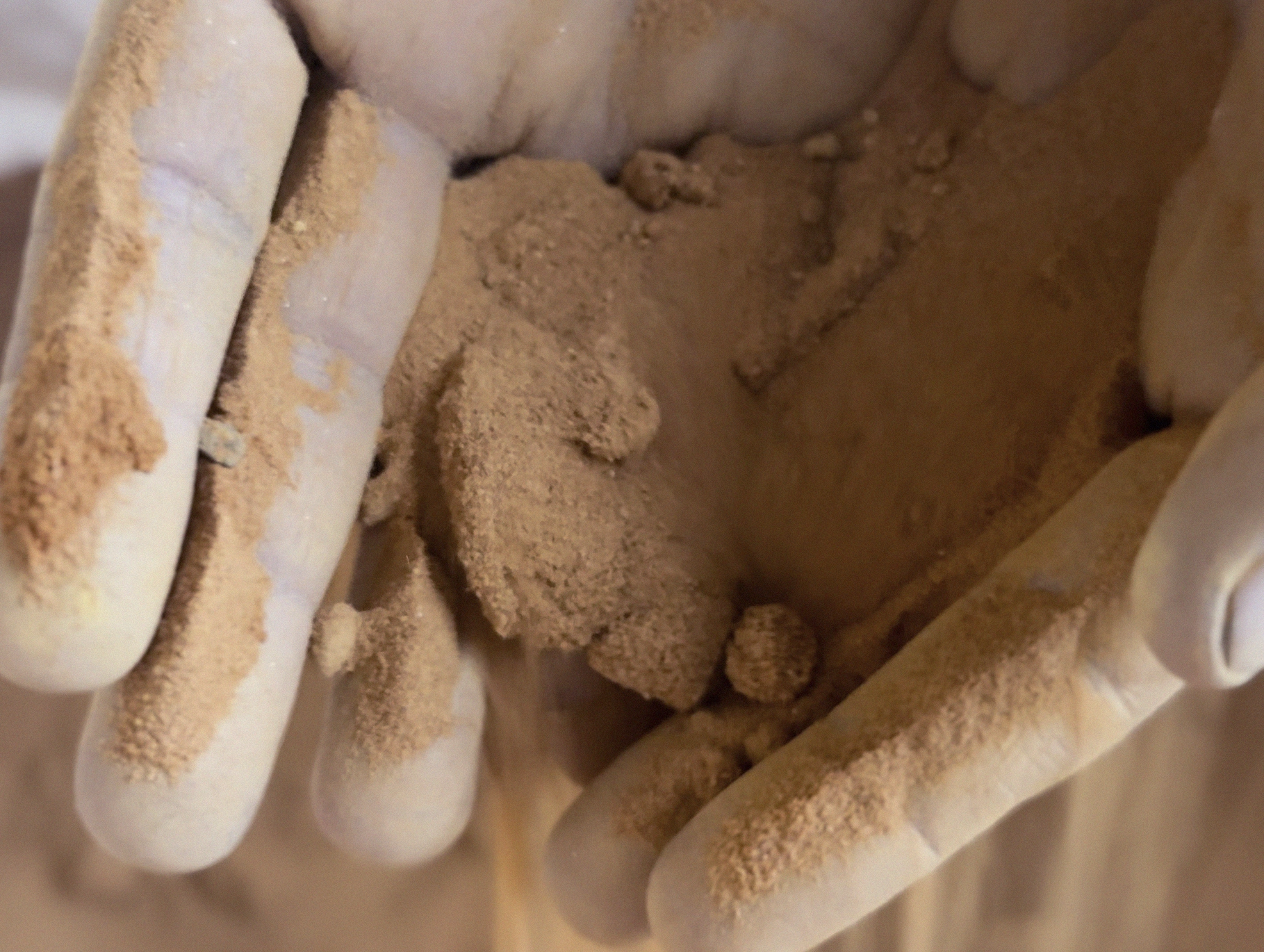 Luttum Concept, un solo equipo